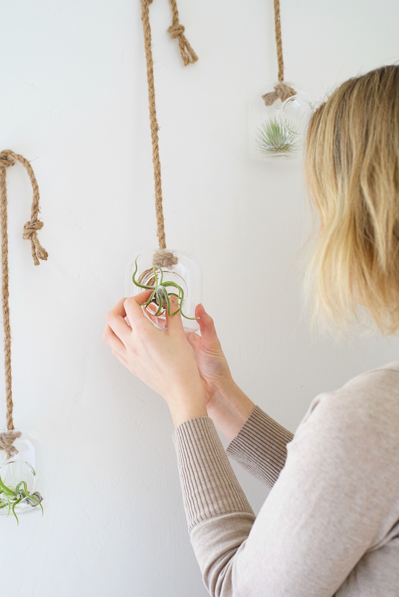 Zo houd je je luchtplantjes gezond & happy!