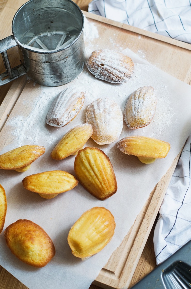 Try this: Madeleines | A Cup of Life