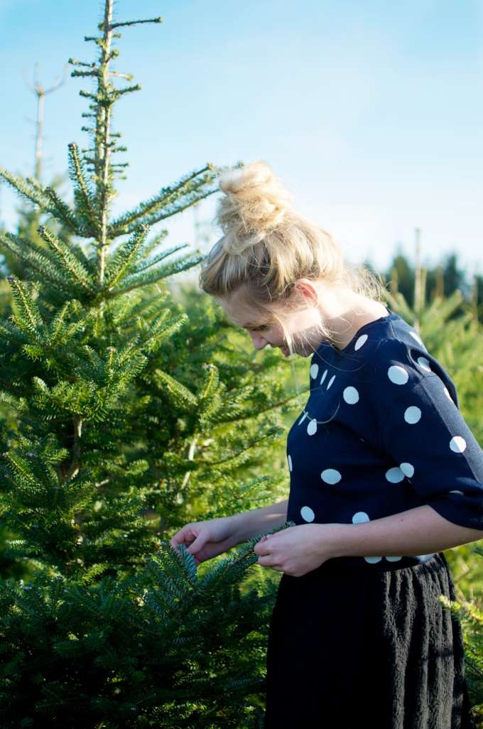 Vochtig technisch een schuldeiser Tips om de perfecte kerstboom in huis te halen | A Cup of Life